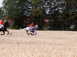 IMG_8506_web